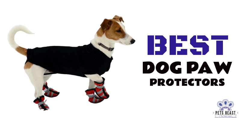 Photo of Dog Paw Protectors