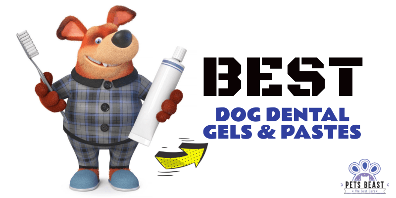 Best Dog Dental Gels