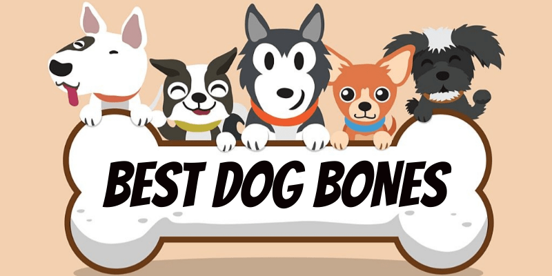 Best Dog Bones
