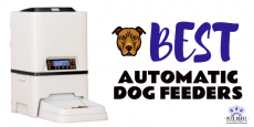 Automatic Dog Feeders Tumbil