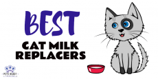 Best Cat Milk Replacers Thumbil