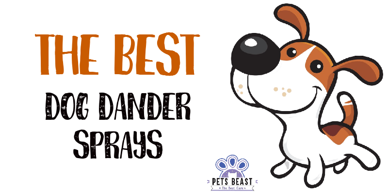 Best Dog Dander Sprays