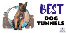 Best Dog Tunnels Tumnbil