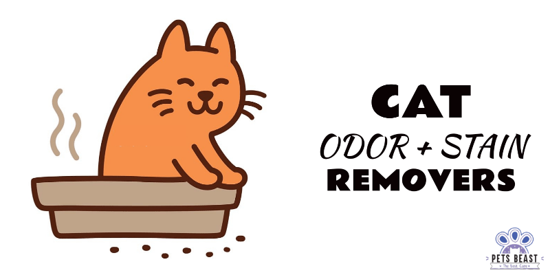 Cat Odor Stain Removal Products