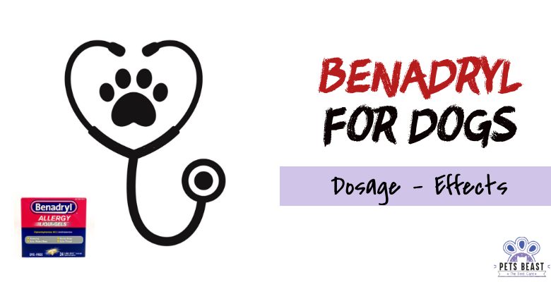 Benadryl For Dogs 780x400 