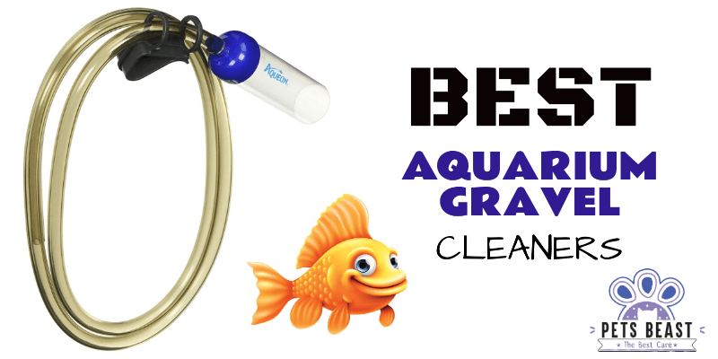 Best Aquarium Gravel Cleaners
