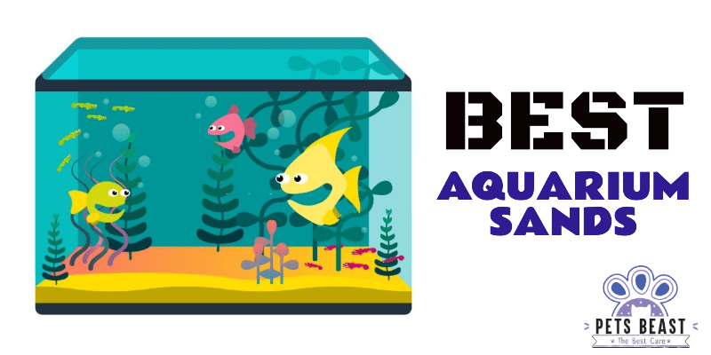 Best Aquarium Sands