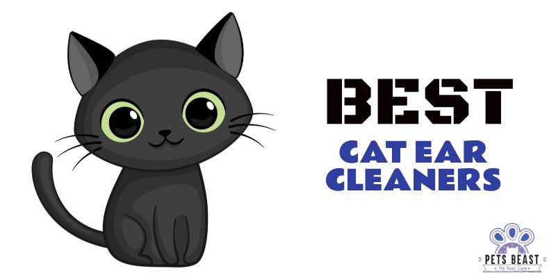 Best Cat Ear Cleaners