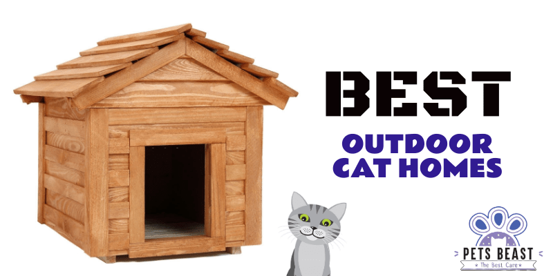 Best Outdoor Cat Home