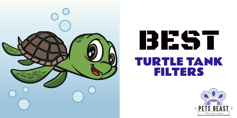 Best Turtle Tank Filter