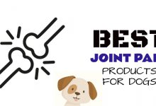 Dog Joint Pain Products