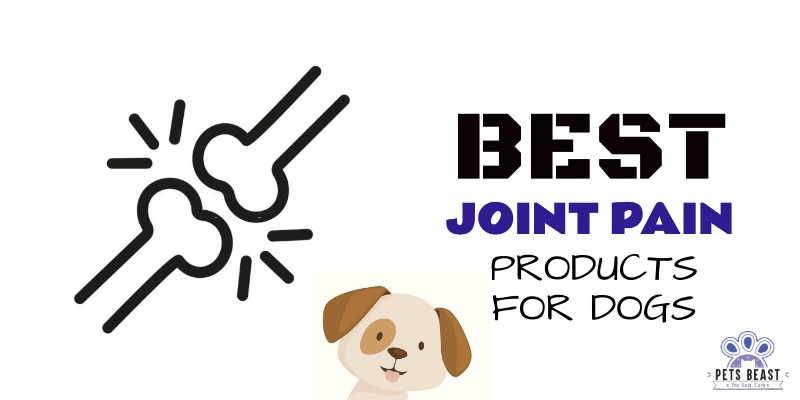 Dog Joint Pain Products