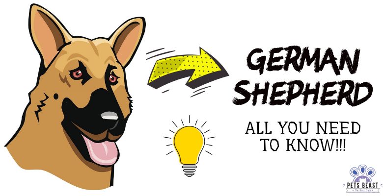 German Shepherd Information