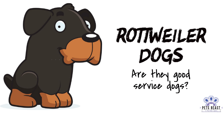 Are Rottweilers Good Service Dogs? [Expert Answered]