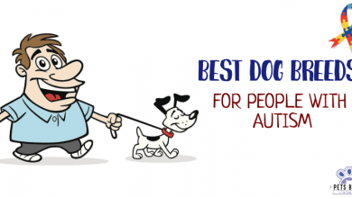 Best Dog Breeds for Autism
