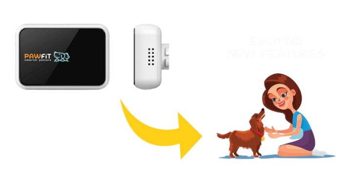 Gps Tracker Pawfit 2