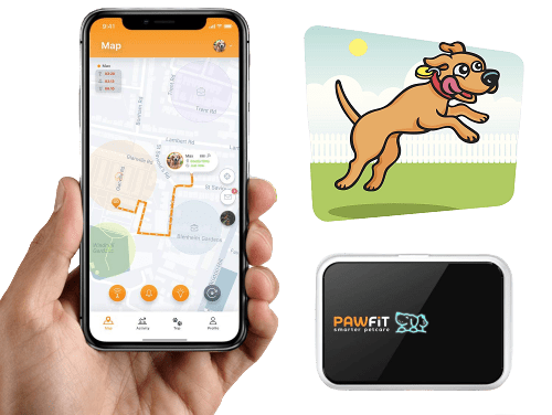 Pawfit Gps Tracker Device