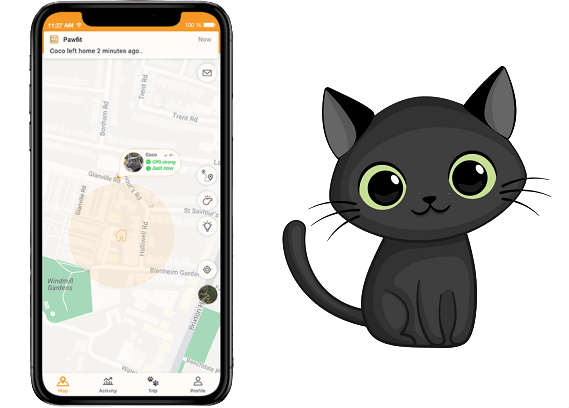 Pawfit Tracker Gps