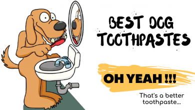 Photo of Dog Toothpaste