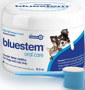 Bluestem Dog Teeth Cleaning Gel