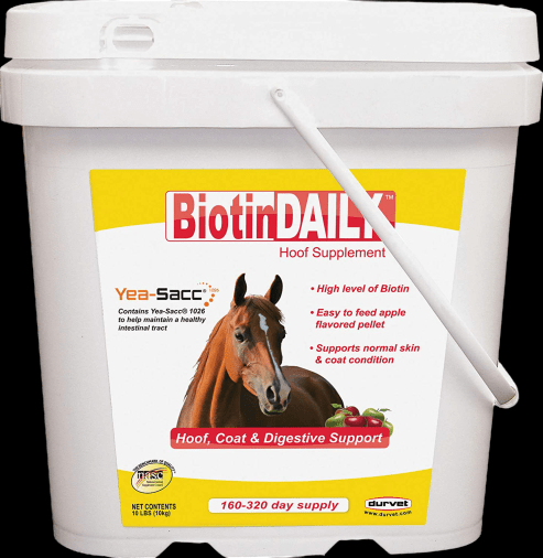 Durvet Biotin Daily Hoof Supplement for Horses