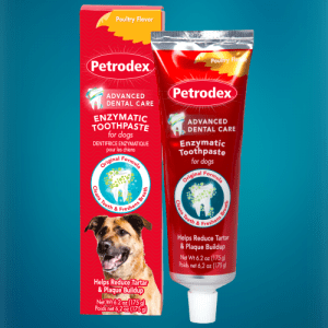 Enzymatic Toothpaste for Dogs by Sentry Petrodex