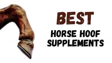 HORSE HOOF SUPPLEMENTS 390x220 - Best Horse Hoof Supplements
