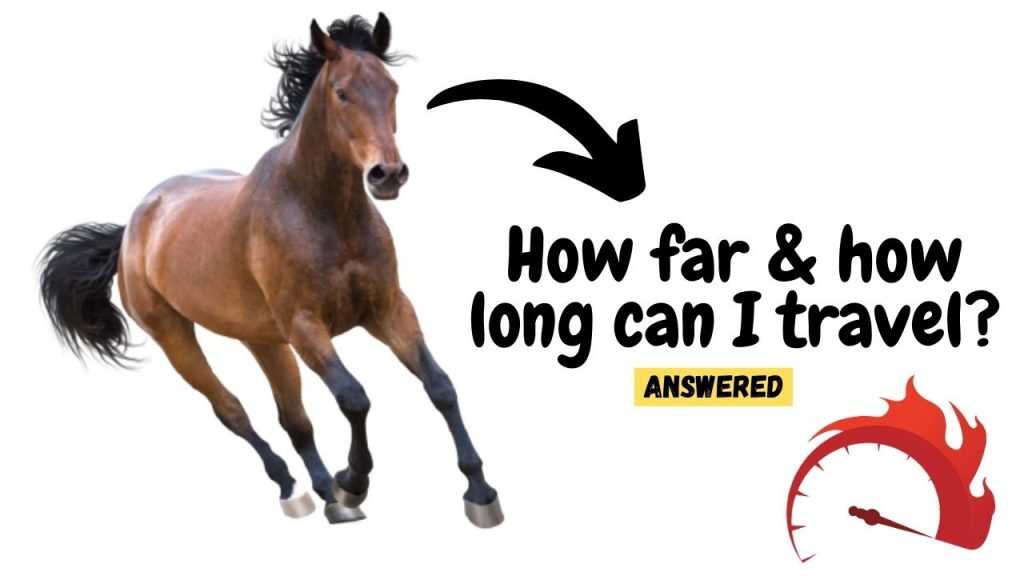 Horse Running Capacity and Speed