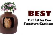 Photo of Best Cat Litterbox Furniture