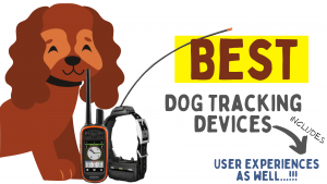 Best Dog Trackers
