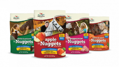 Photo of Manna Pro Bite-Size Nuggets for Horses