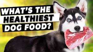 Nutra Complete Dog Food Nutra Complete Dog Food High quality Ingredients for Optimal Nutrition
