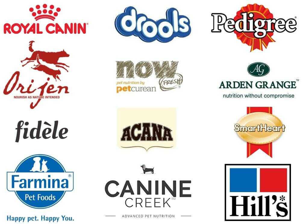 Top 10 Popular Puppy Dog Food Brands