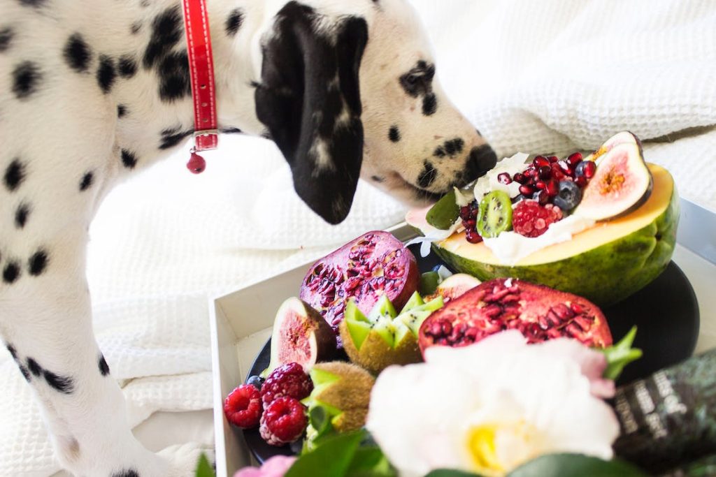 Fruits Your Dog Should Avoid