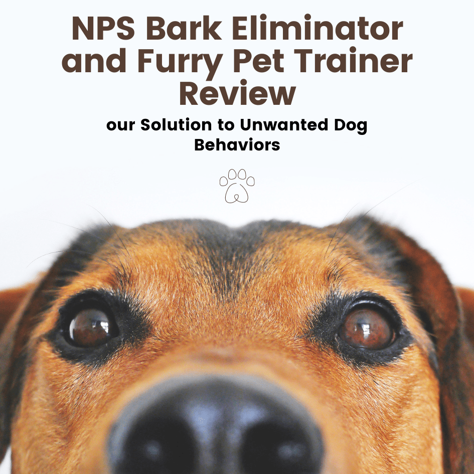 NPS Bark Eliminator and Furry Pet Trainer Review